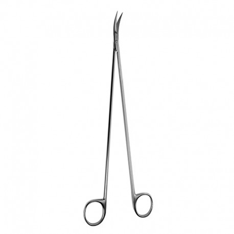 Church Artery Scissors, Delicate, Blunt/Blunt Tips, Straight, 10" (25.0 Cm)
